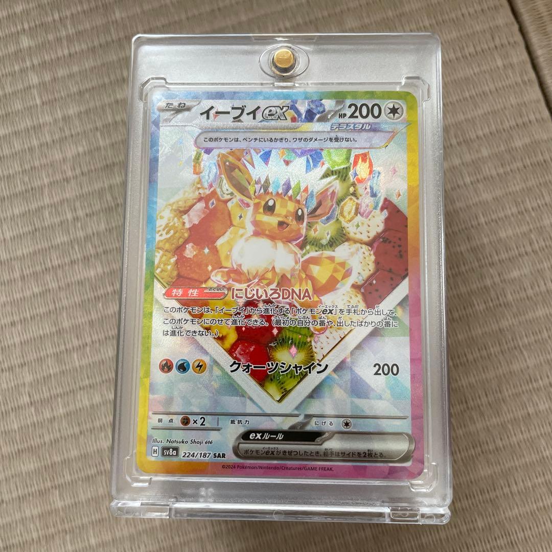 ブイズセット　sar　極美品　テラスタルフェス