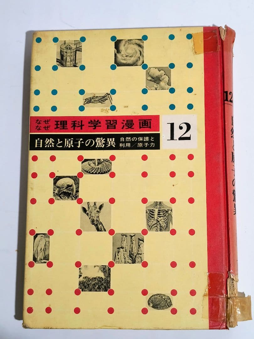 理系脳？「なぜなぜ理科学習漫画」シリーズ　全12巻中11巻 (第4巻が欠落)