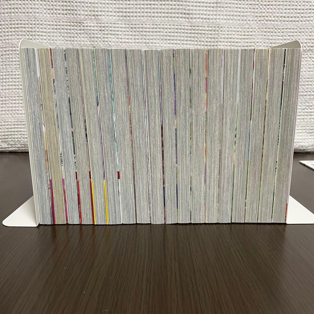 SUPER LOVERS 全巻　スーパーラバーズ1〜18巻＋小冊子1冊　あべ美幸
