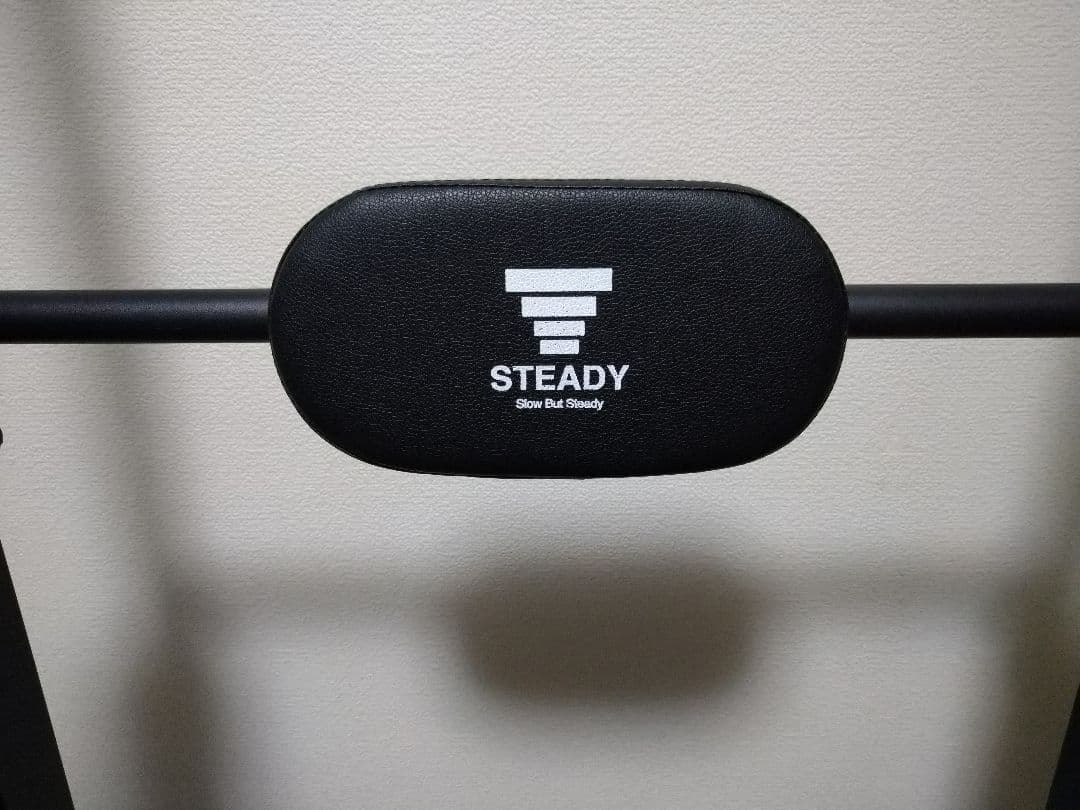 無言購入ok 早い者勝ち　STEADY　懸垂マシン　チンニング　値下げ不可