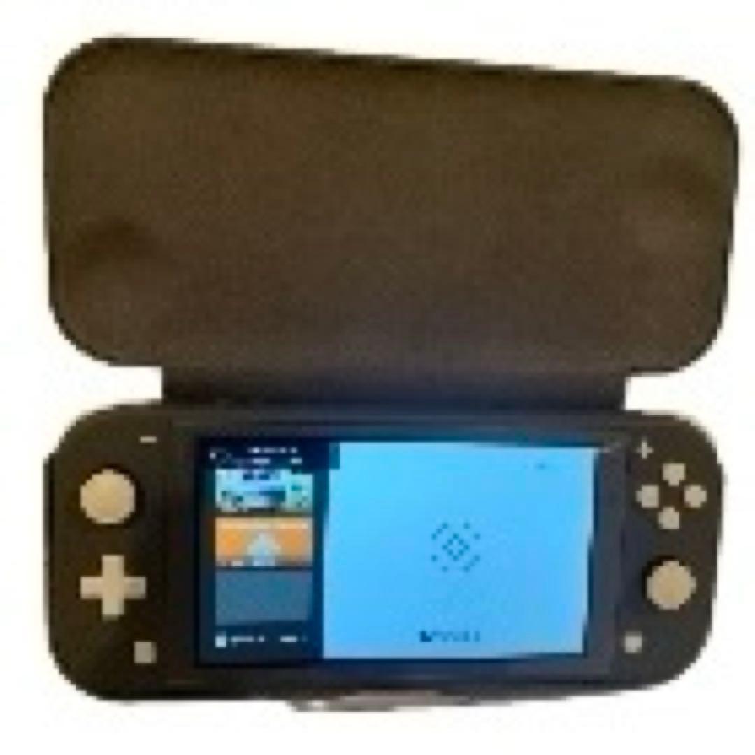 スイッチライト　グレー（やや訳有）　ケース付