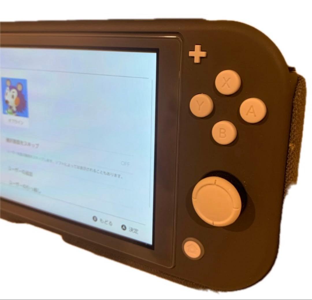 スイッチライト　グレー（やや訳有）　ケース付