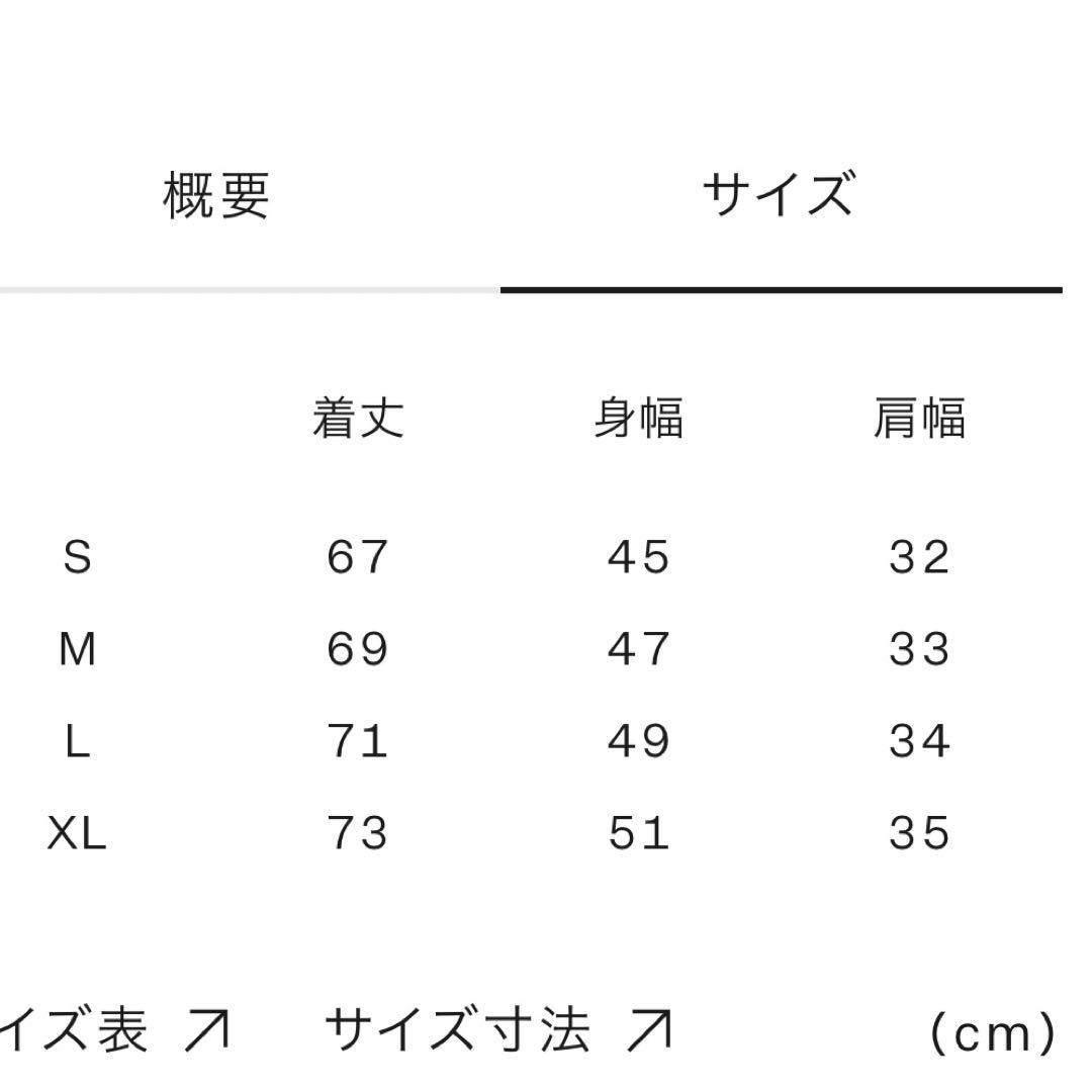 極美品✨ THE NORTH FACE フライトインパルスシングレット L