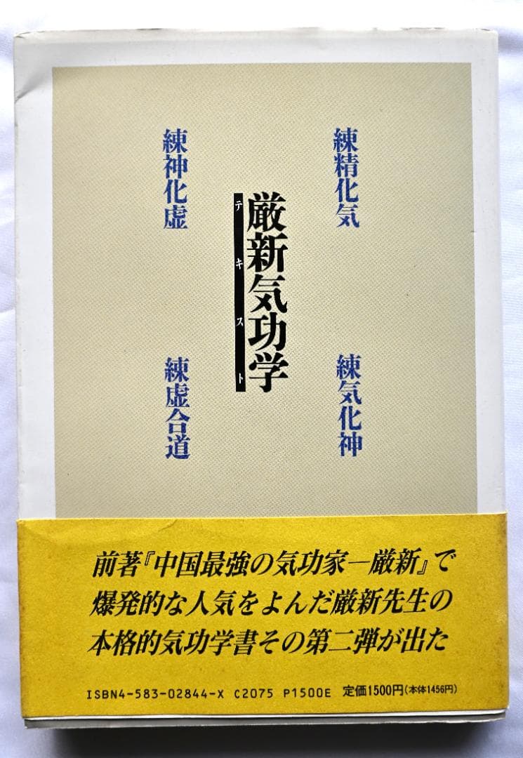 厳新気功学