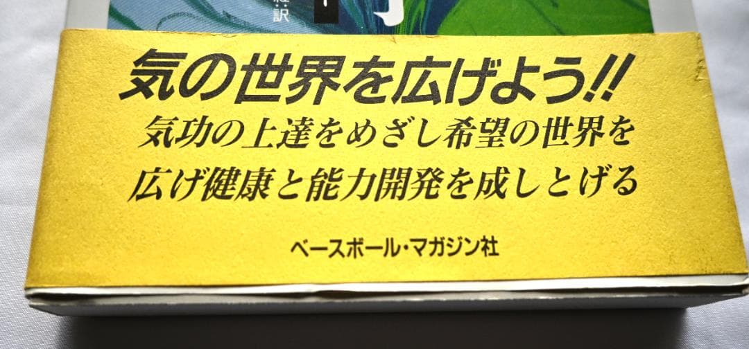 厳新気功学