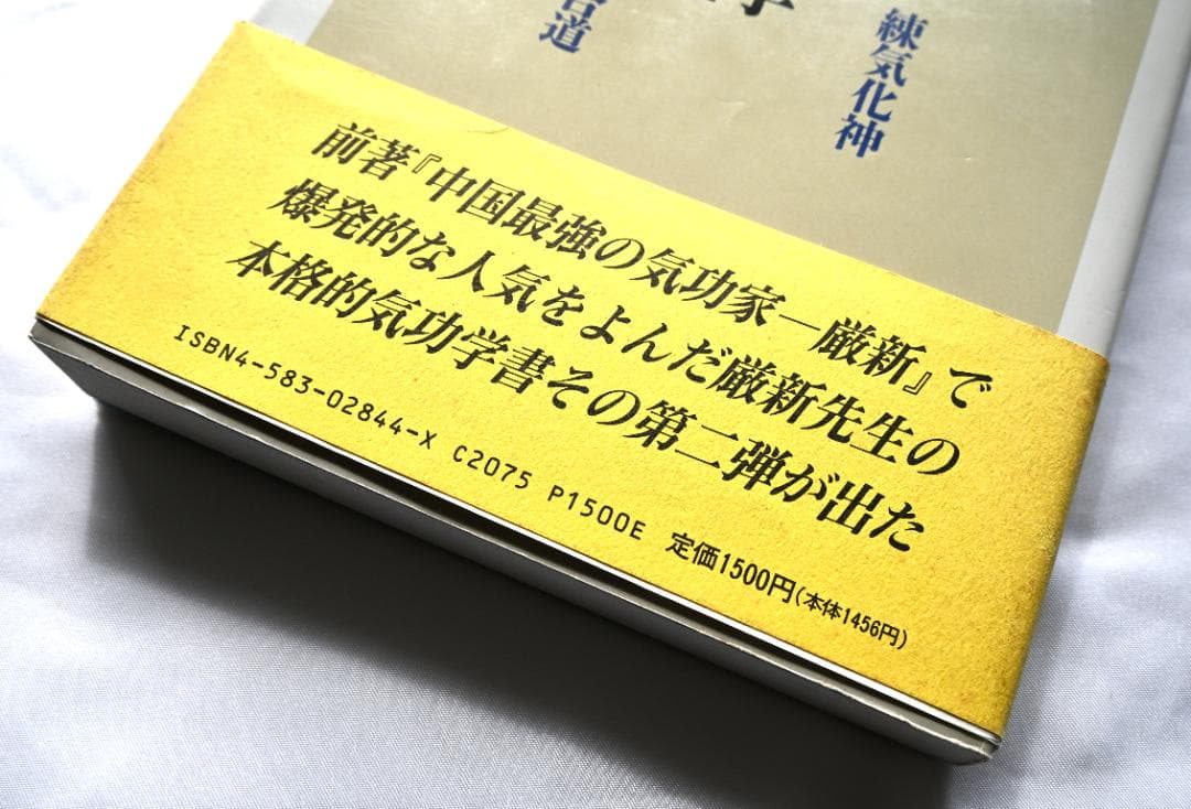 厳新気功学