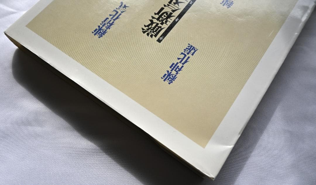 厳新気功学