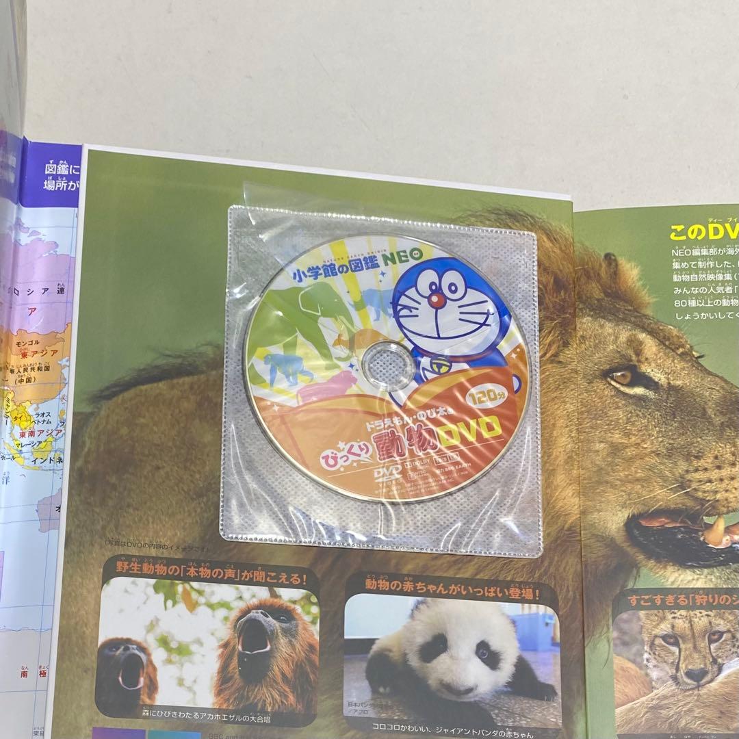 【5冊セット・DVD付】小学館の図鑑 NEO 動物+魚+恐竜+花+ 科学の実験
