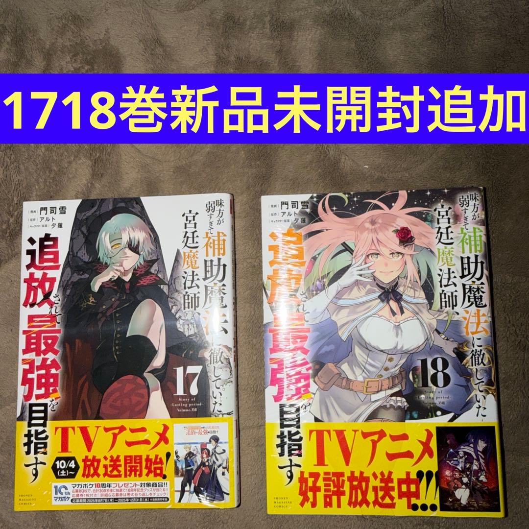 味方が弱すぎて補助魔法に徹していた宮廷魔法師、追放されて最強を目指す　全巻