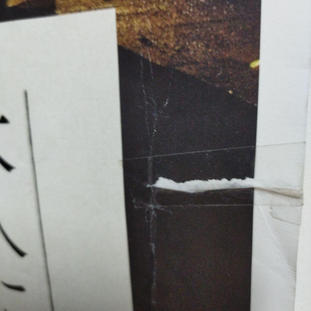 JR東日本 大人の休日倶楽部　吉永小百合 岩手県　龍泉洞　B0サイズ ポスター