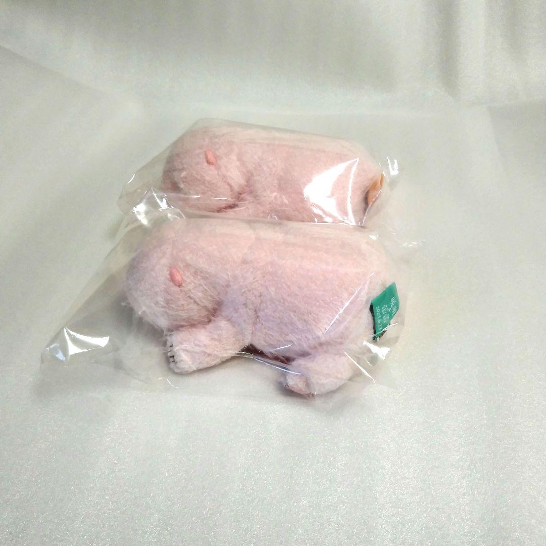 上野動物園　ほんとうの大きさのパンダの仔　シャオシャオ　レイレイ　おまけ付き
