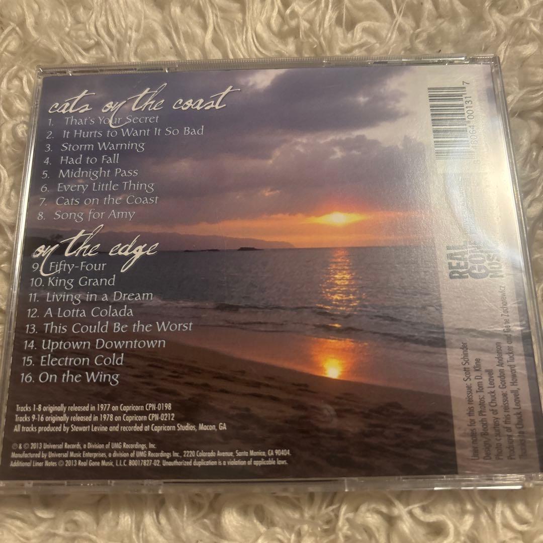 【AOR】 SEA LEVEL Cat's on the Coast