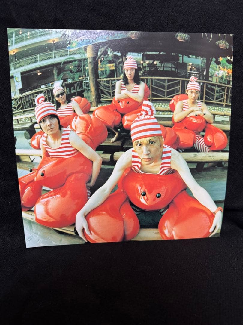 邦楽 THE HIGH-LOWS LP