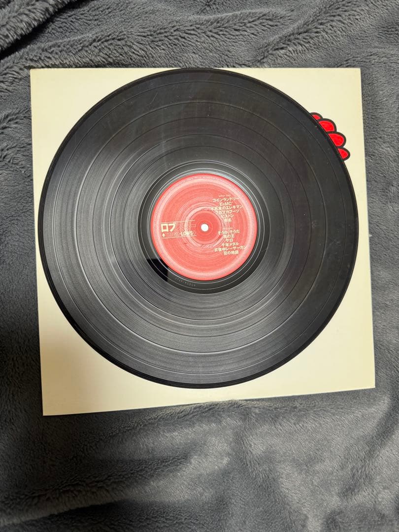 邦楽 THE HIGH-LOWS LP