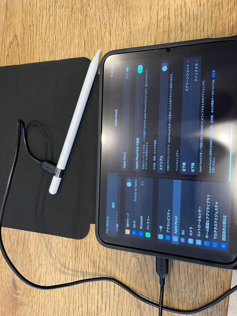 Apple Pencil usb c 正常稼働品