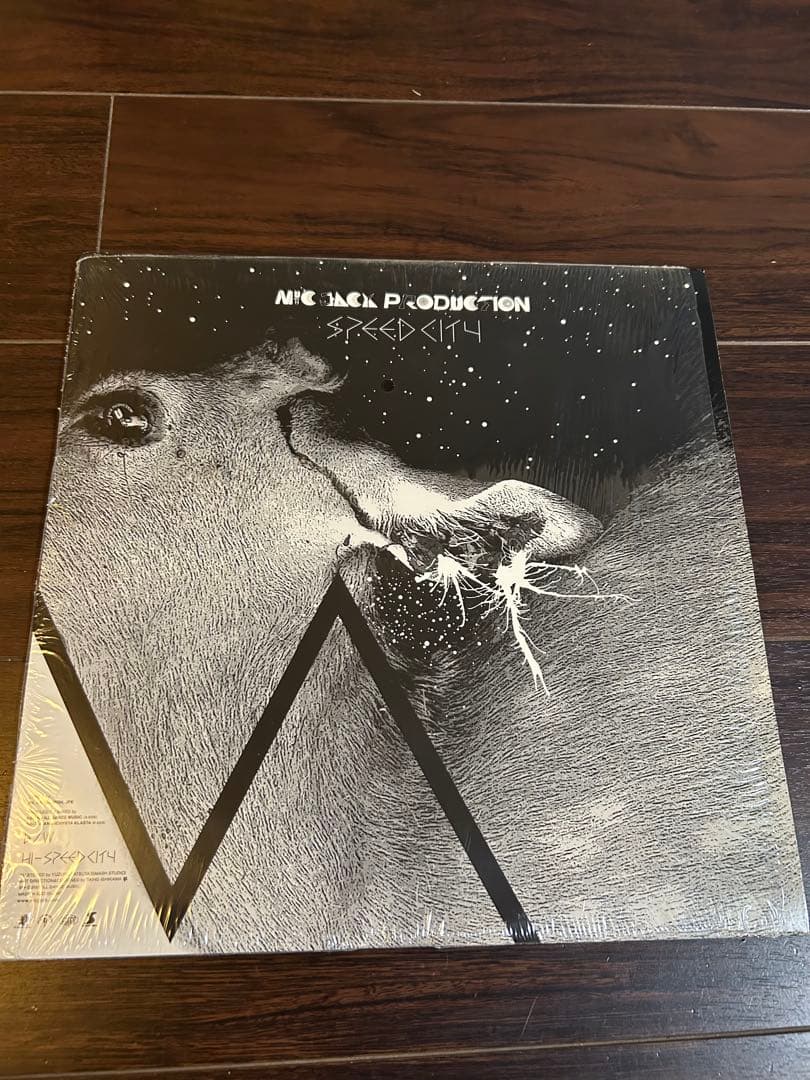 Mic Jack Production / BIG JOEレコード12枚セット