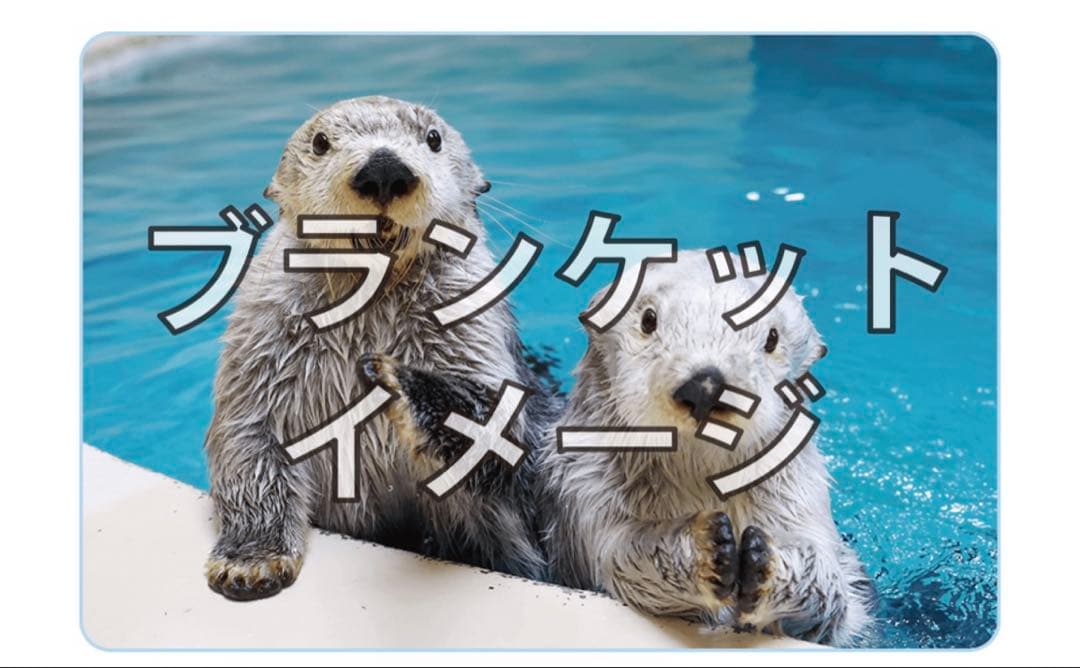 鳥羽水族館 ラッコ 写真集　ブランケット