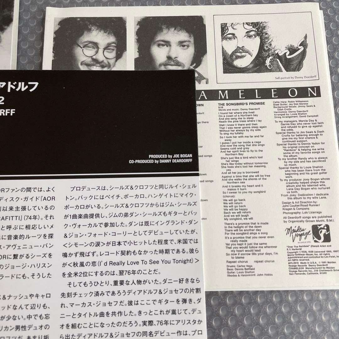 RAINDANCE　AOR 紙ジャケットCD ダニー・ディアドルフ