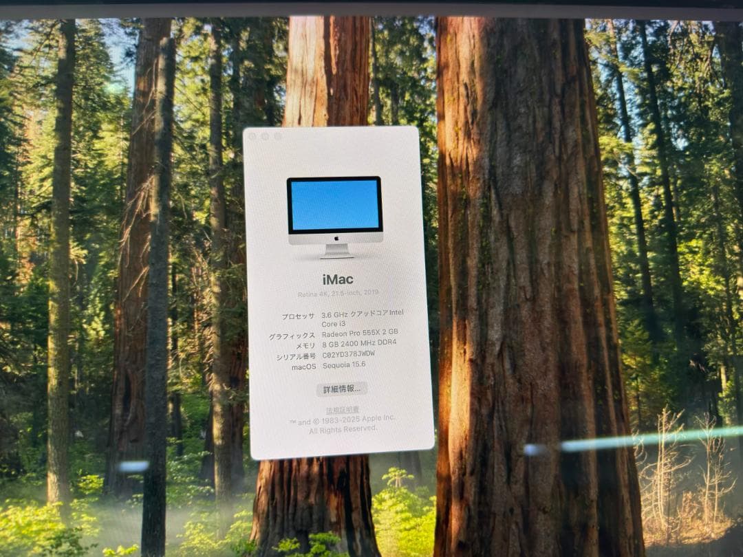 iMac 2019 4K 21.5 i3/8GB/1TB 画面割れ 動作OK
