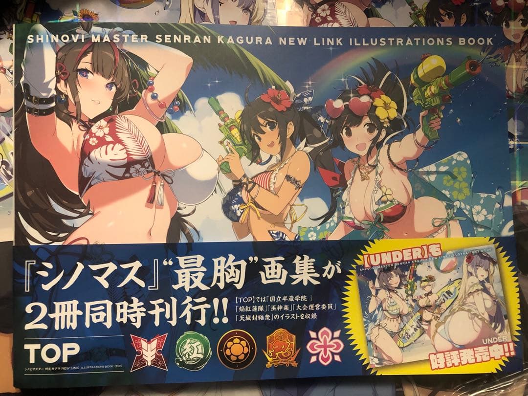 シノビマスター 閃乱カグラ NEW LINK ILLUSTRATIONSBOOK