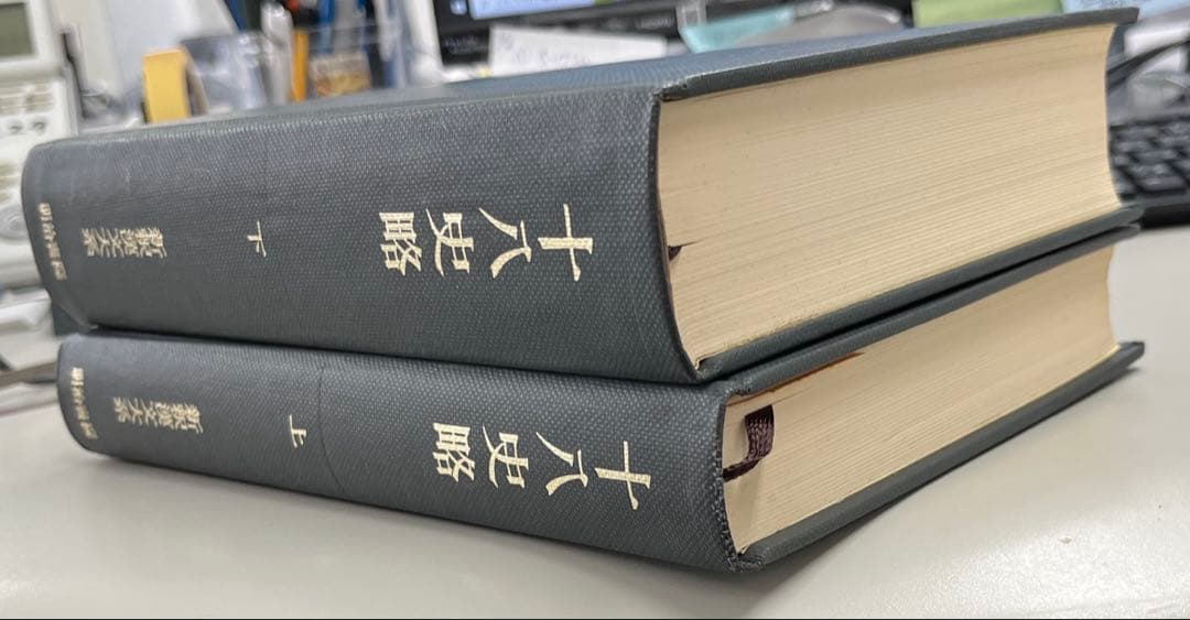 【希少2巻】新釈漢文体系第20・21巻　十八史略（上・下）