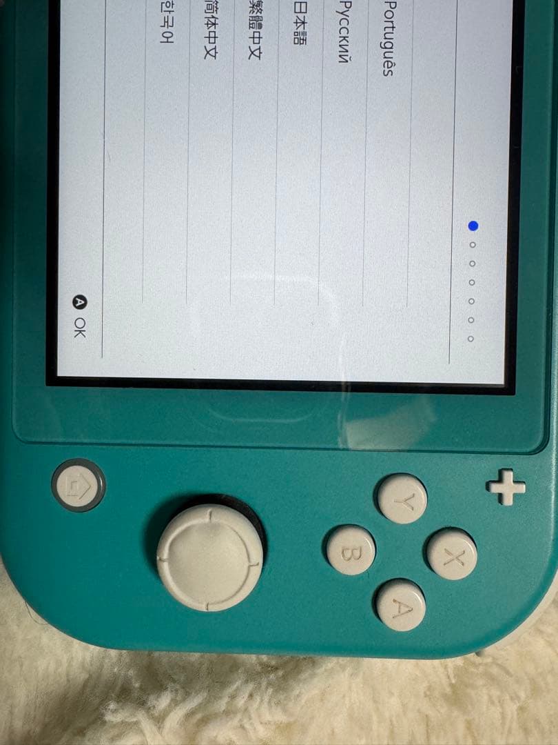 Nintendo Switch Lite ターコイズ 専用ケース付き