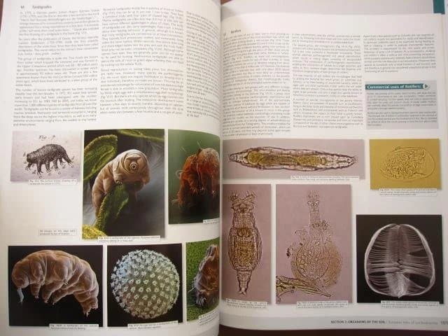 洋書 European Atlas of Soil Biodiversity