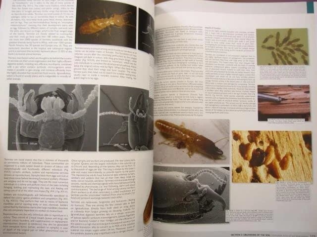 洋書 European Atlas of Soil Biodiversity