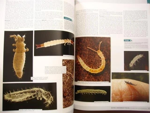 洋書 European Atlas of Soil Biodiversity