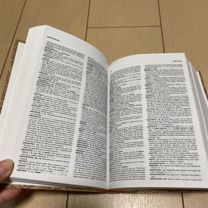 西西辞典　スペイン語　辞書