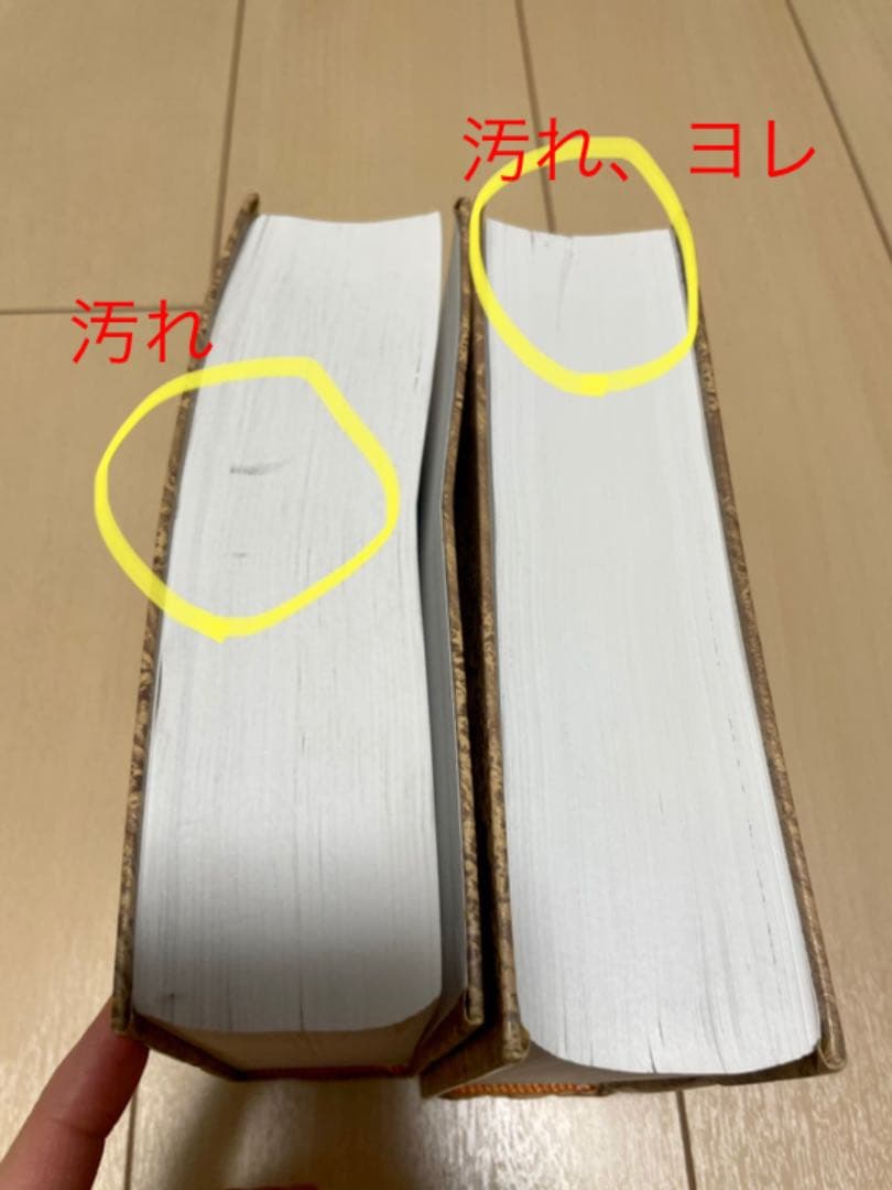 西西辞典　スペイン語　辞書
