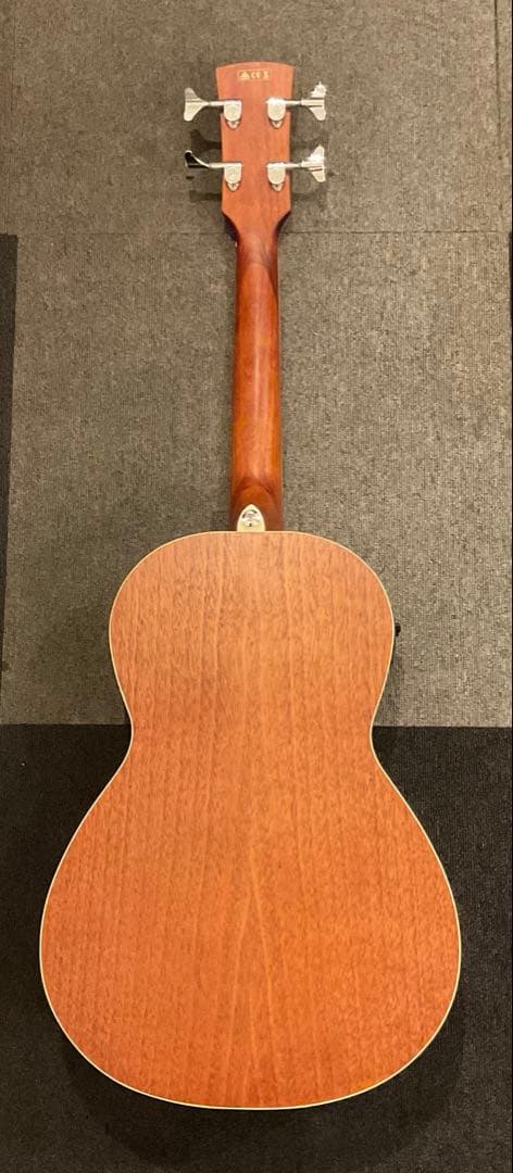 Ibanez ( アイバニーズ ) / PNB14E-OPN