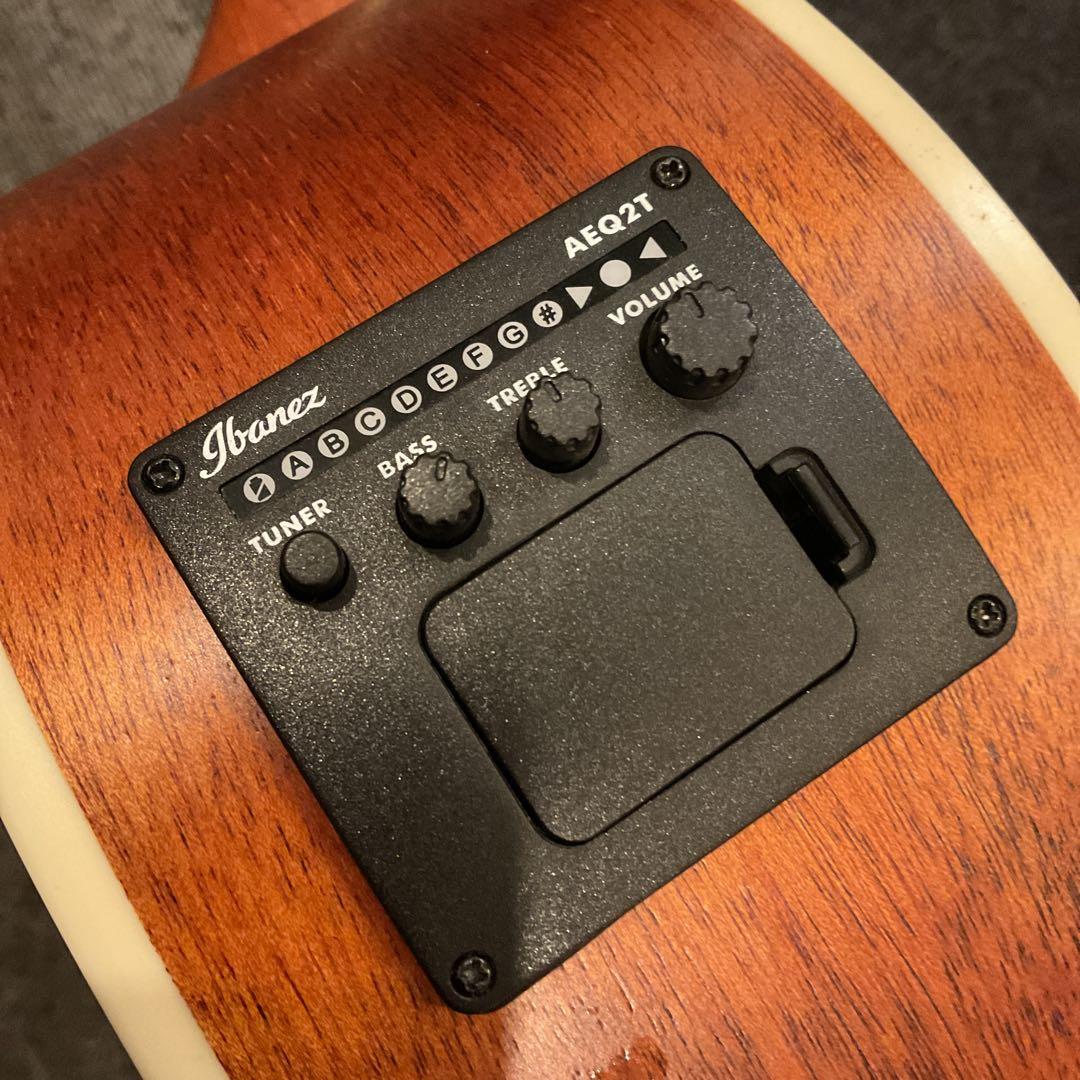 Ibanez ( アイバニーズ ) / PNB14E-OPN