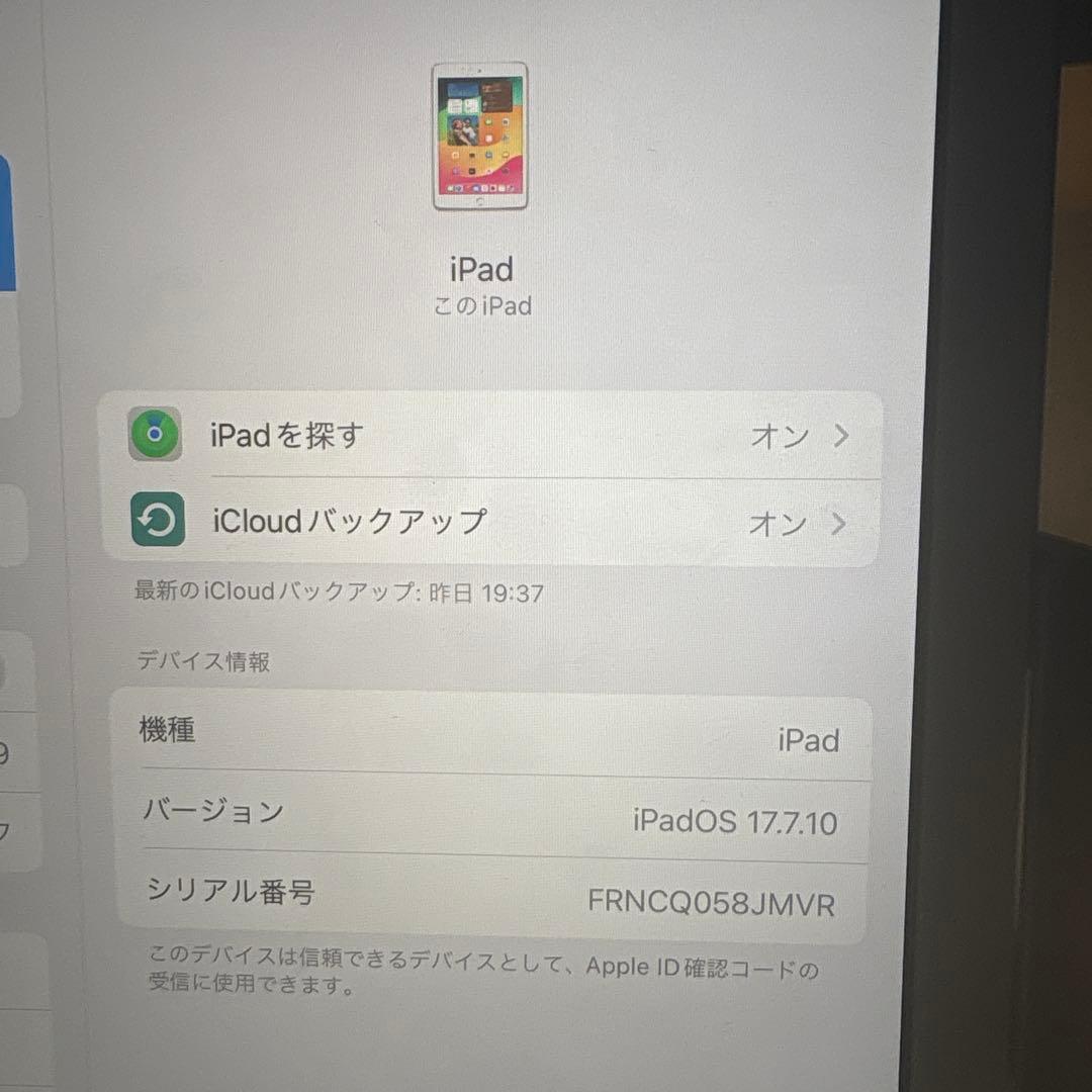 iPad (第6世代)本体 ピンク