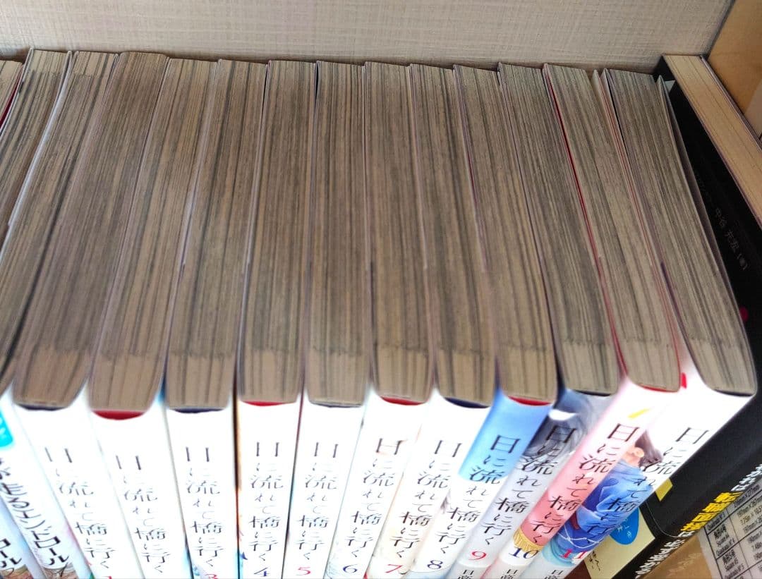 日に流れて橋に行く 全11巻セット