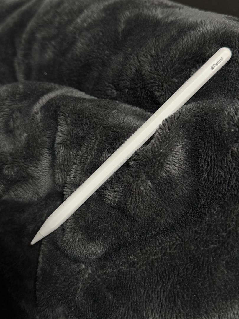 iPad Pro12.9 第5世代 M1 128GB +Pencil2 美品
