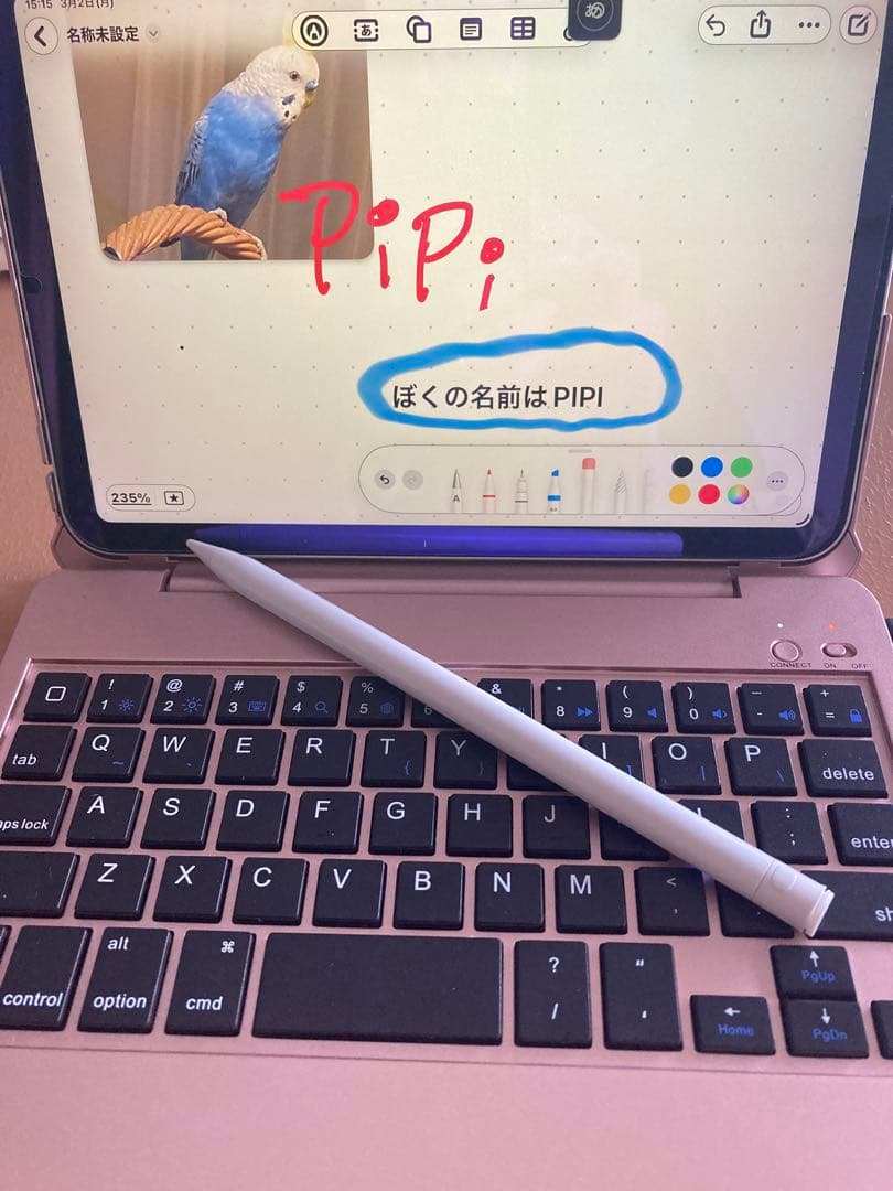 【美品】iPad mini 第6世代 64GB Wi-Fi キーボード付き
