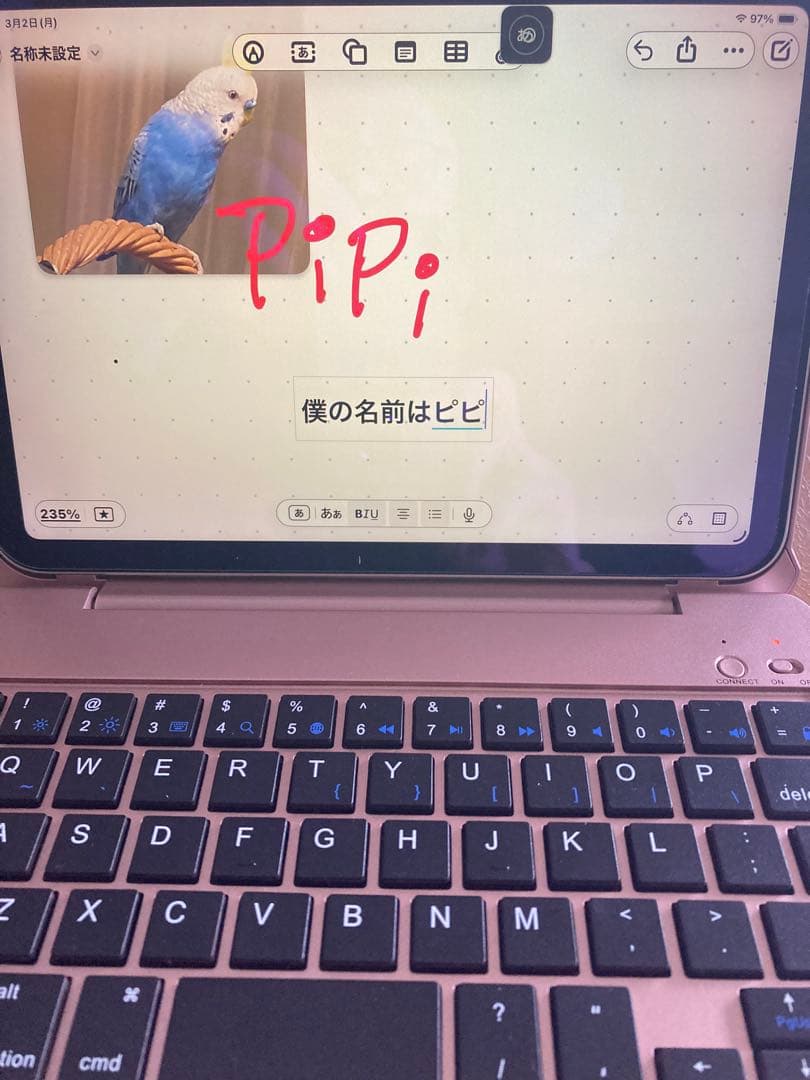 【美品】iPad mini 第6世代 64GB Wi-Fi キーボード付き