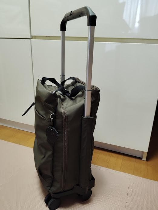 ace キャリーバッグ ソフトキャリー カナナ 23L 2kg 4輪 買い物