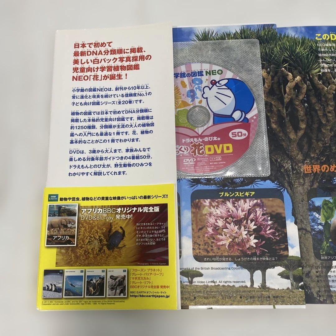 小学館の図鑑NEO 7冊セット DVD付