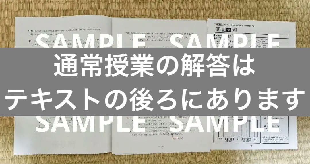 【2025最新】河合塾 共通テスト地理 通年+夏期・冬期講習 授業プリントつき