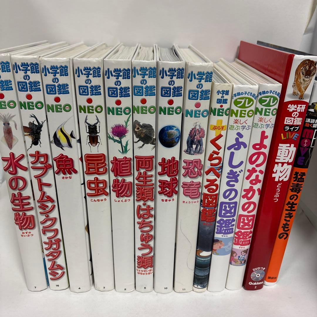 図鑑　13冊セット 図鑑neo 小学館　プレneo 特典付き