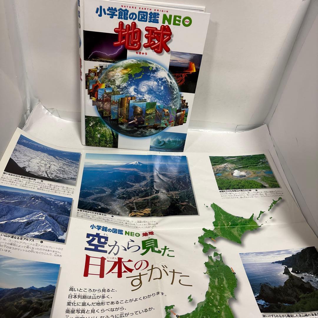 図鑑　13冊セット 図鑑neo 小学館　プレneo 特典付き