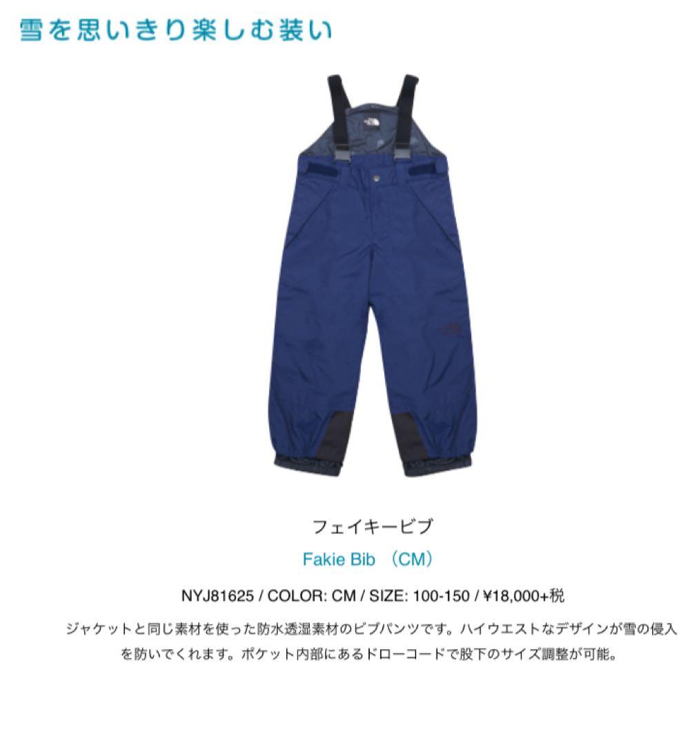 THE NORTH FACE 100 フェイキービブ