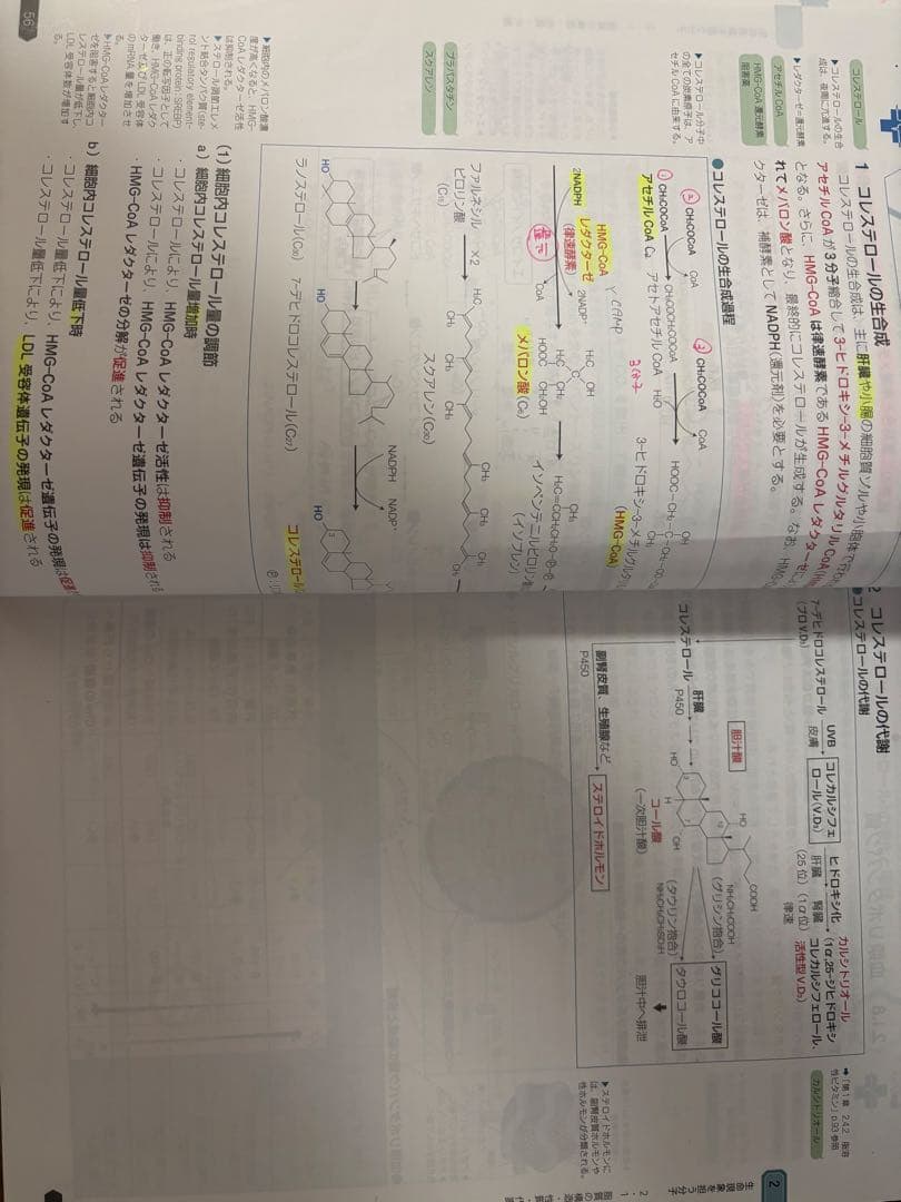 薬剤師国家試験111回青本青問18冊セット