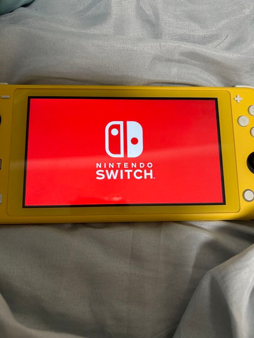 ヤ*ス様 Switchライト lite ケース、充電コード付き ジャンク