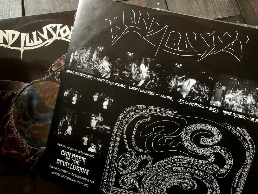 洋楽 BLIND ILLUSION - The Sane Asylum