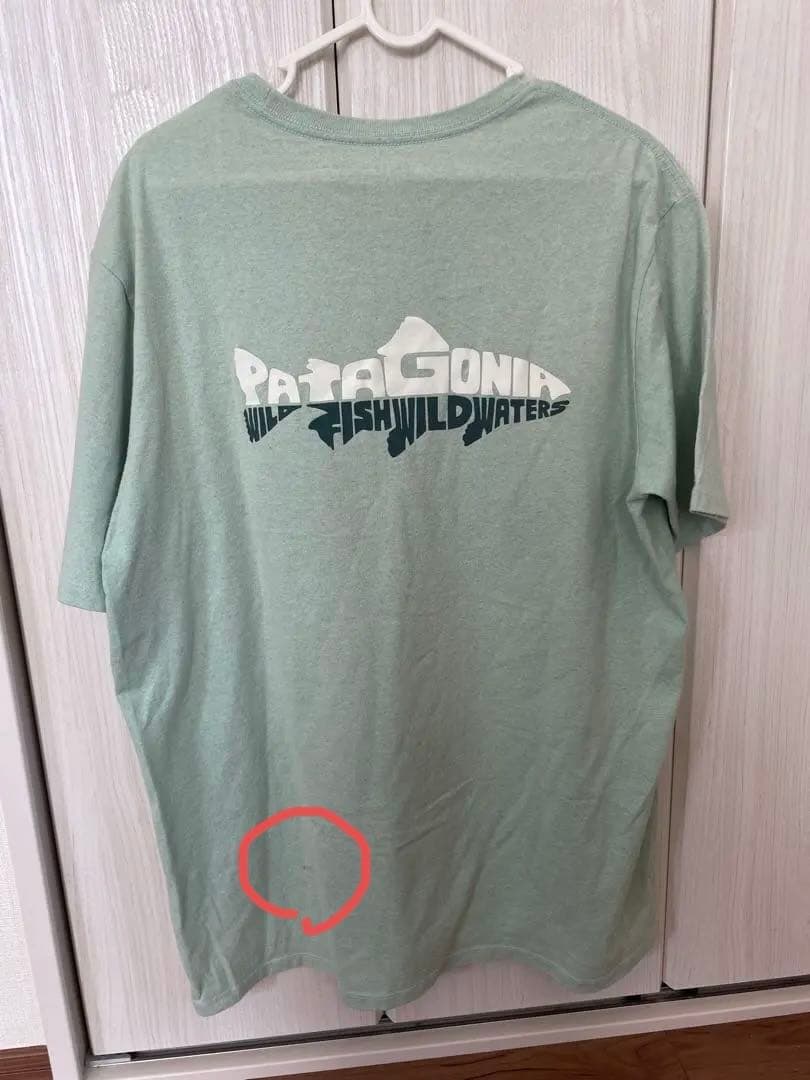 パタゴニアTシャツMサイズ　３枚セット
