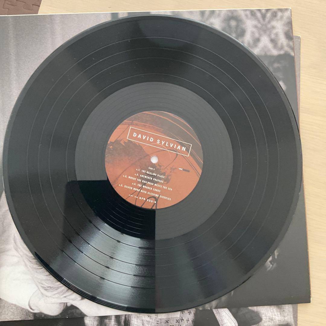 デヴィッド・シルヴィアン　ゴーン・トゥ・アース　2枚組　LP 輸入盤