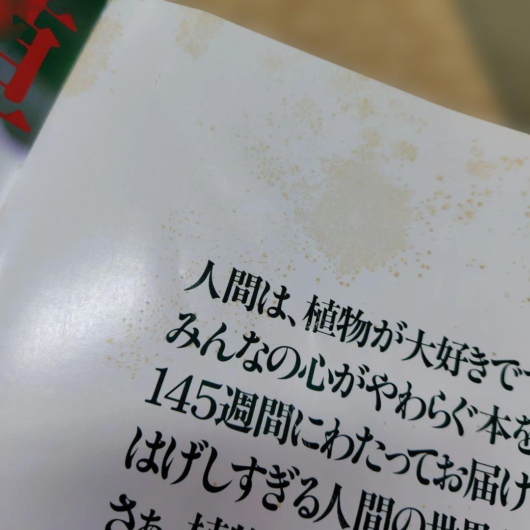 植物の世界 全巻 週刊朝日百科　バインダー付き